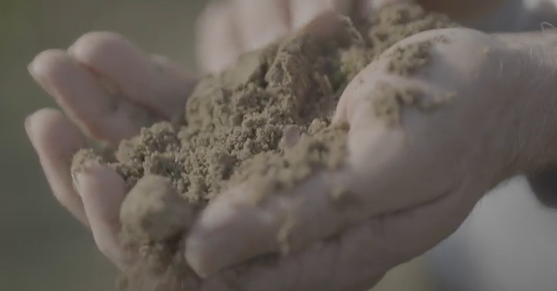 Photo d'une main rempli du sable de Gascogne 