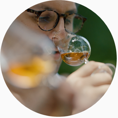 シャトー・ド・ラキー17年 CHATEAU DE LACQUY 17 YEARS Bas Armagnac from Château de Lacquy, 17 year old blend, Grape