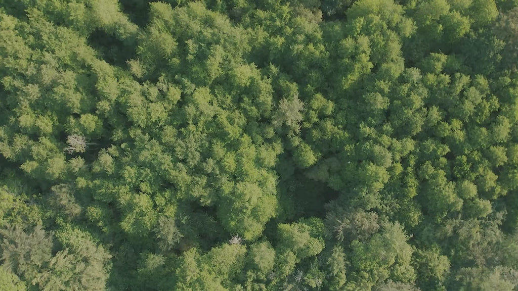 Vidéo du Château de Lacquy